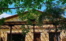 Villa Aggeliki